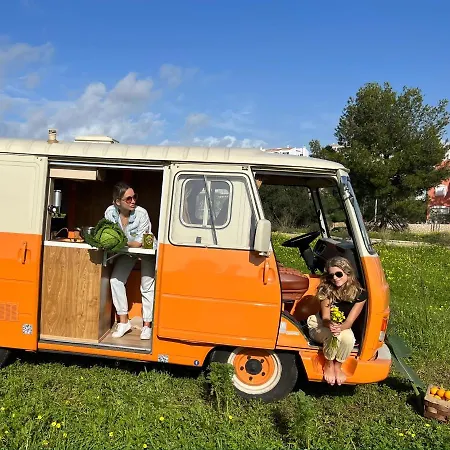 Rent A J9 Camper Van With Blue Classics * 波尔蒂芒